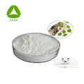 Natural Betulinic Acid 98% Birch Bark Extract Powder