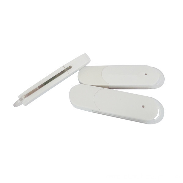 Plastic USB Flash Drive