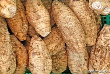 Nature Kudzu root extract