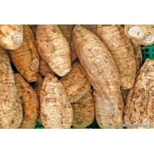  black wolfberry extract Nature Kudzu root extract Factory