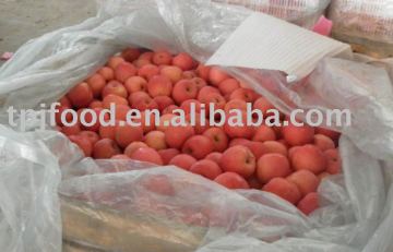 fresh red fuji apple grade A