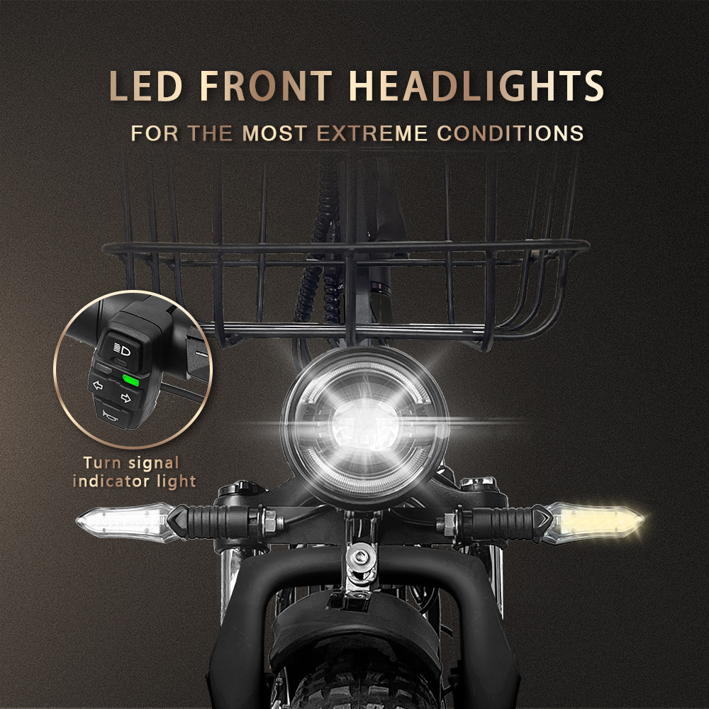 Adults Electric Bike
