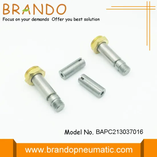 13.00mm Tube Diameter Solenoid Stem for Valve