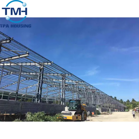 steel structure workshop / hangar fabrication