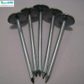 Galvanized Roofing Nails with washer