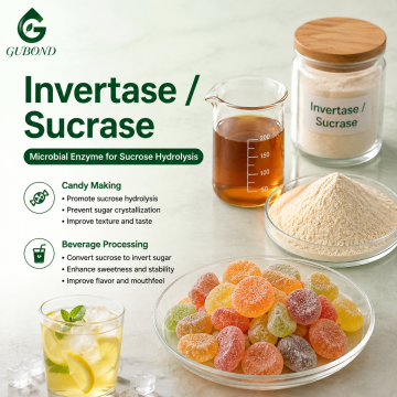 إنزيم Invertase Sucrase لتطبيقات الحلويات وتجهيز الأغذية