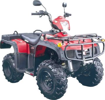 BS250S-24 atv
