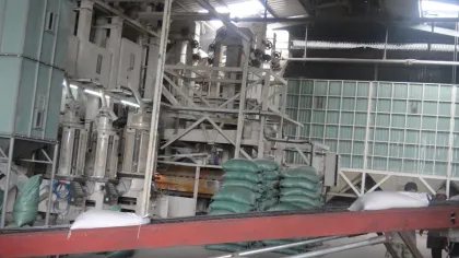 Vietnamese short round rice,Japonica rice,susi rice,