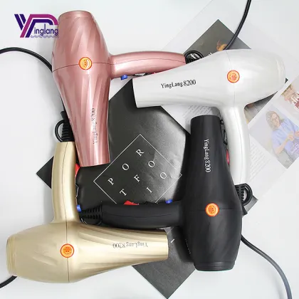 Professional Hair Dryer Set with Salon Brush, Hot and Cold Stand, and Tools