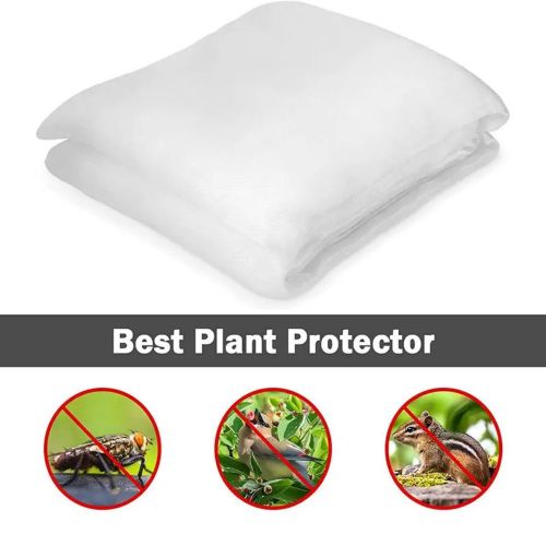Vegetable planting insect net