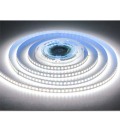 Wholesale Price Strip Light 5mm Monochromatic Lighting