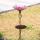 31 Inch Height Glass Birdbath Birdfeeder