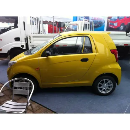 New Energy Electric Car