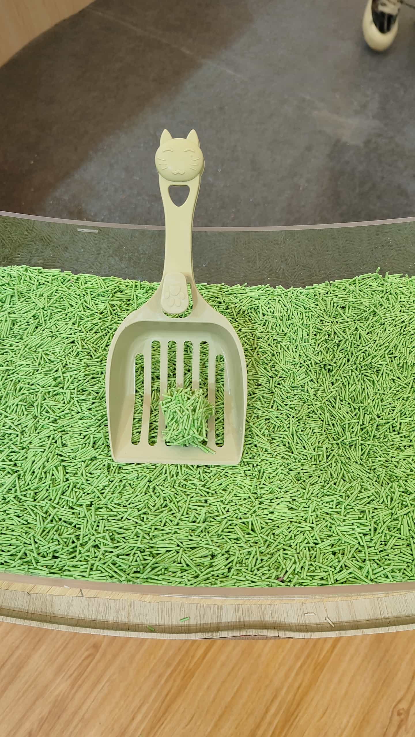 Natural Green Tea Cat Litter Made from Tofu