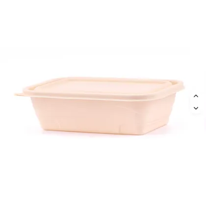 Eco-friendly Food-Grade Recyclable Cornstarch Bento Lunch Box