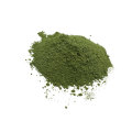 Bestes organisches Gerste Gras-Saft-Extraktpulver