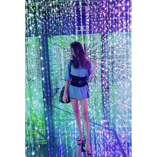 360 graders LED Pixel Curtain RGB Disco Ball Light