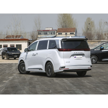 Luxury Business Electric MPV DENZA D9