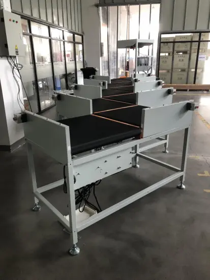Automatic Z Type Parcel Sorter