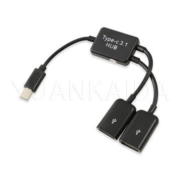 USB Type C to Dual OTG HUB