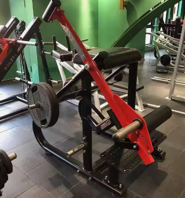 Fitness Strength equipment Reverse Hyper Extention