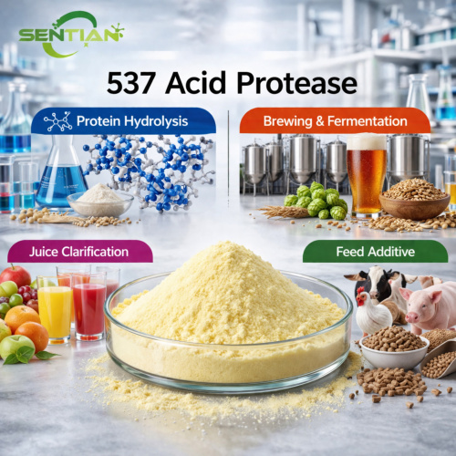 High-Purity Acid Protease Powder for Food Industry