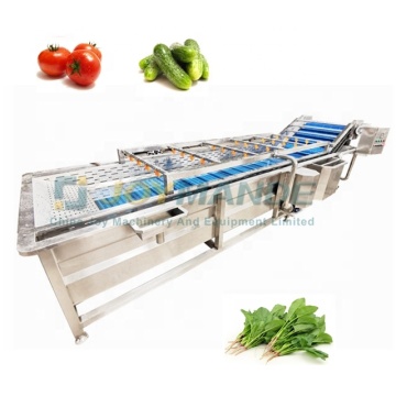 Leafy Vegetable and Tomato Pepper Washing and Drying Machine