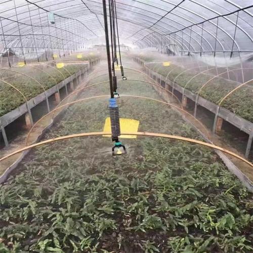 Sistema de irrigação agrícola/sistema de irrigação de polvilhas