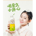 Naturally Sweet Chingu Kiwi Rice Wine