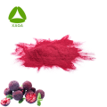 Bio -Instant Obst Bayberry Waxberrysaftpulver