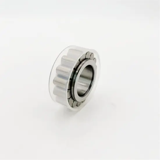 RSL182205-A-XL Cylindrical Roller Bearing 25x46.52x18