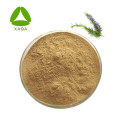 Natural Rosemary Extract Powder 10:1