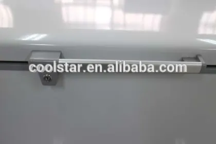 Supermarket folding door quick freezer