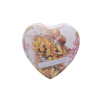 Heart Shaped Iron Box Special Shaped Tin Box