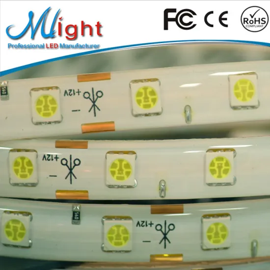 SMD 5050 DC 12V LED Building Decoration Lights Christmas LED Rope Lights