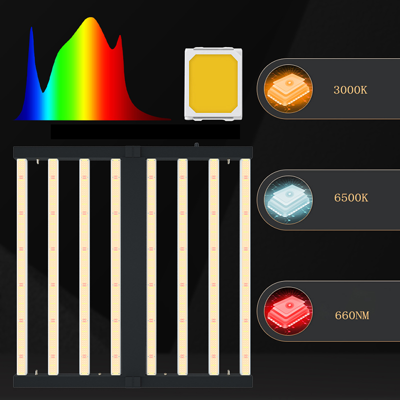 Best Cannabis Grow Lights 2021