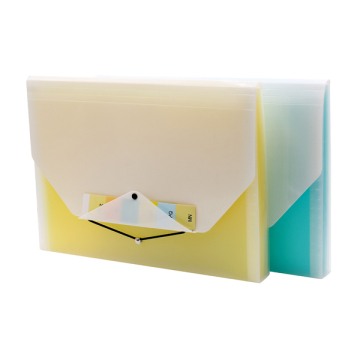 Plastic File Folder / Magic BagC311-6