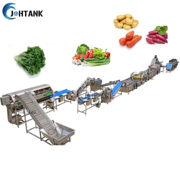 Conveyor Style Vegetable Washing Machine: Lettuce, Cabbage, Pawpaw, Apple, Pear, Pitaya, Dragon Fruit