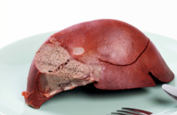 Lipase Enzyme Powder