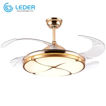 LEDER Hunter Ceiling Fans With Lights