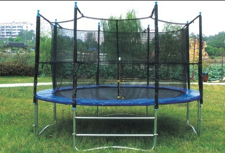 Trampoline (2011-213A)