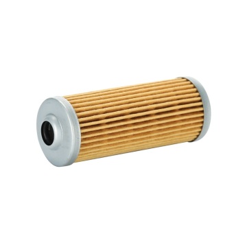 Fuel Filter Manufacturers 119810-55650 F-5207 12455055700" 

However, if we need to make it more concise and SEO-friendly, we could use:

"119810-55650 F-5207 Fuel Filter Manufacturers