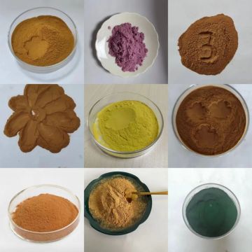 Organic Lemon Leaf Extract for Health and Culinary Uses