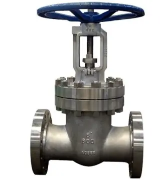 Hastelloy C Gate Valve