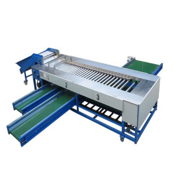 Potato sweet potato fruit vegetable drum sorting machine