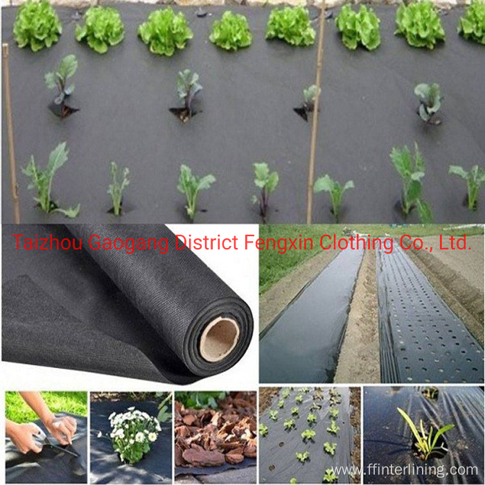 Plant Cover Non-Woven Fabric for Crop Production