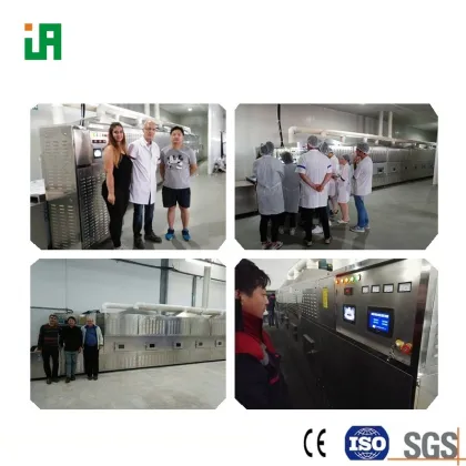 Industrial Microwave Machinery: Rice Dryer Machine with Magnetron Technology