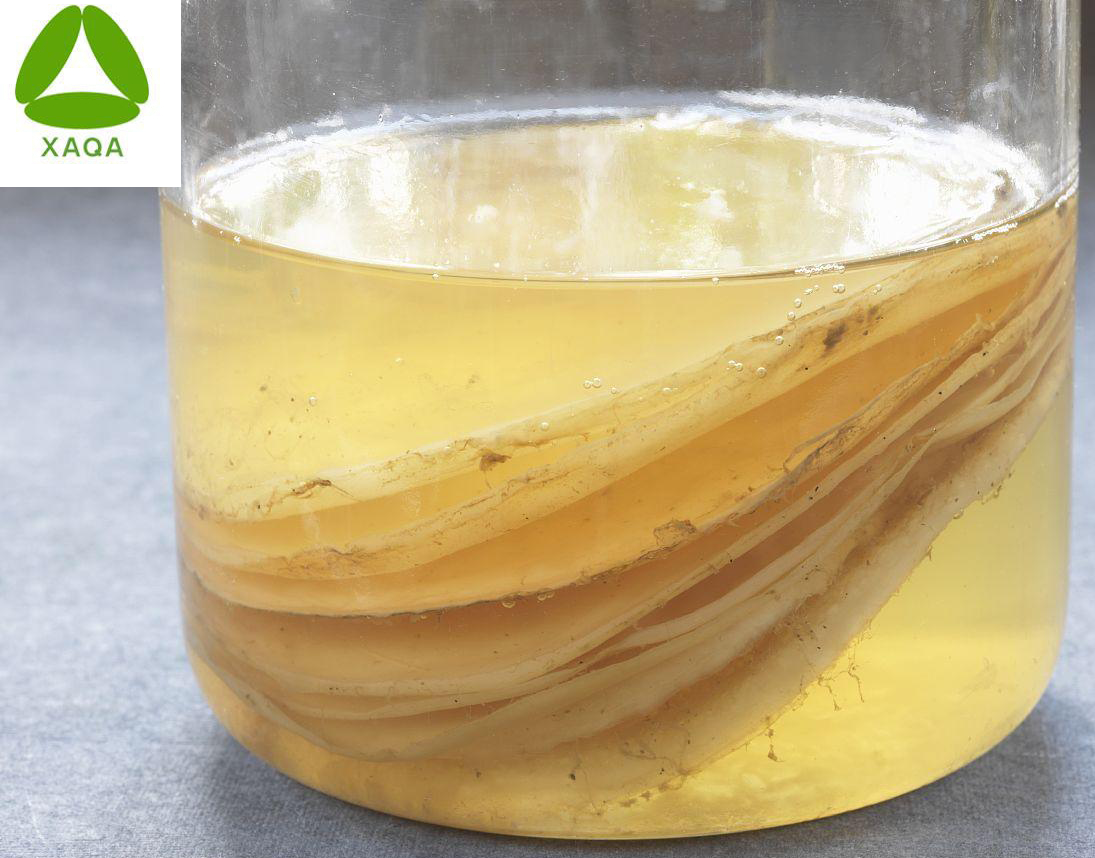 Kombucha extract (1)