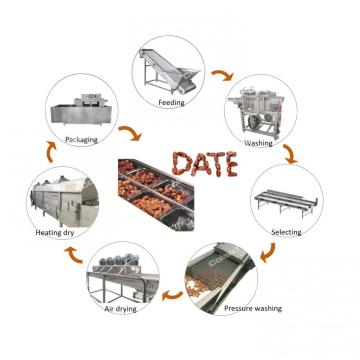 Máquina de clasificación de vibraciones de la máquina de procesamiento de la máquina de la palma