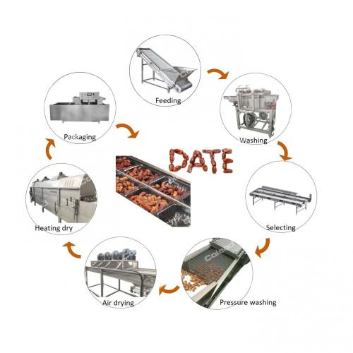 Máquina de classificação de vibração da máquina de processamento da data da palma